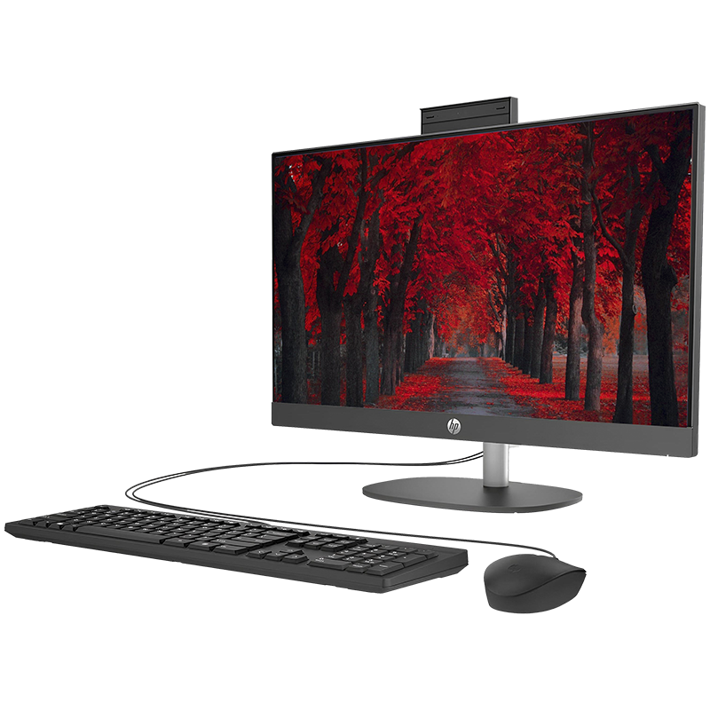 Computadora de Escritorio Todo en Uno HP ProOne 240 G10 Black