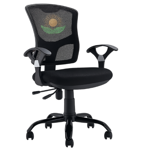 [DC-43] Silla Secretarial con Respaldo Ergonómico Dorasol Color Negro