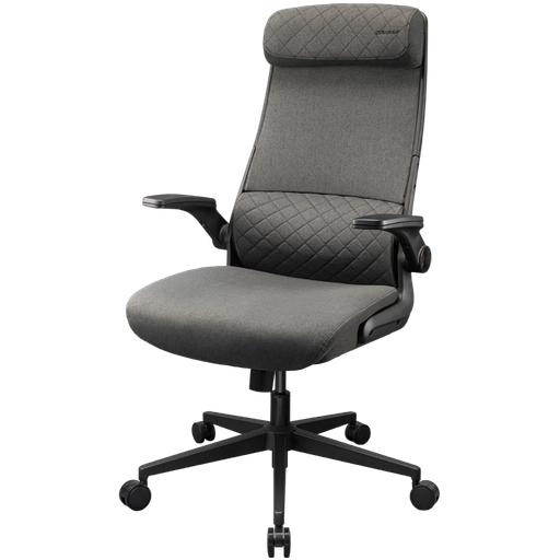 [CGR-STD-GRB] Silla Gamer Cougar Stryder Gray